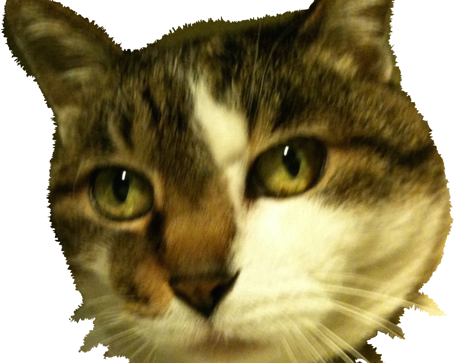 査定がおかしい